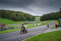 Lower Group Orange Bikes
